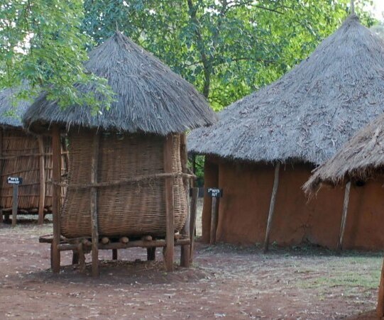 Ngomongo Cultural Center Excursion - traditinal houses