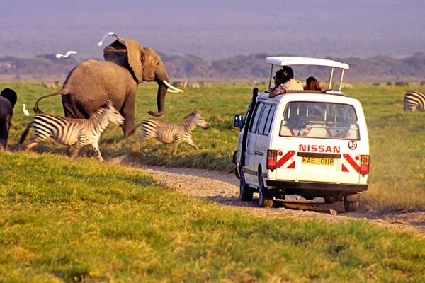 Sunday Best Safaris vehicle