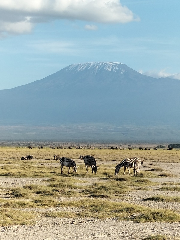 Perfect view of Mount Kilimanjaro during 7-day Amboseli Safari — iconic Kenya landscape