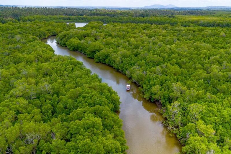 Funzi Island mangrove adventure