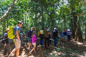 Guided walk at forest near Kiambethu Tea Farm Limuru
