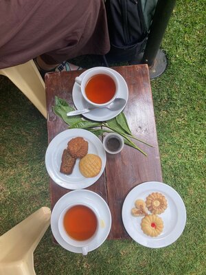 Tea tasting at Kiambethu Tea Farm Limuru