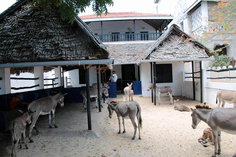 Lamu Donkey Sanctuary