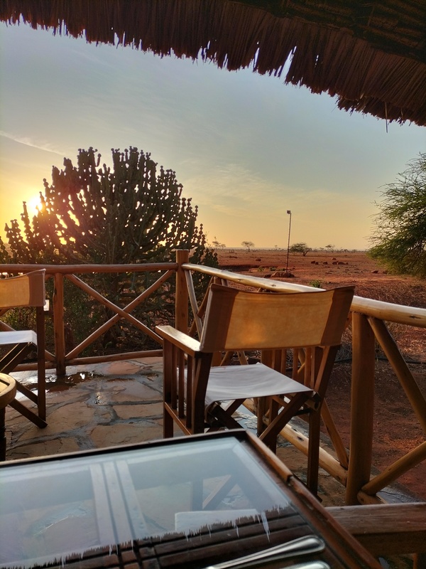 Perfect safari experience at Ngutuni Lodge