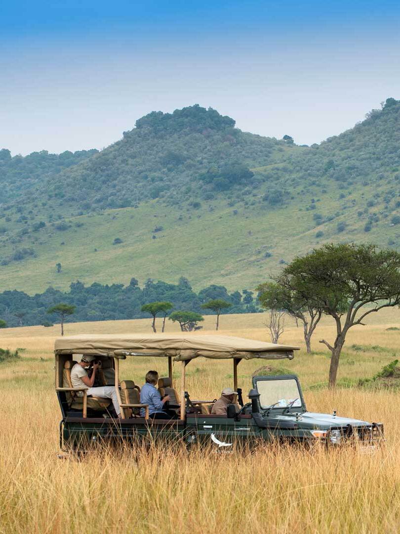 Experience game drives at Masai Mara National Park