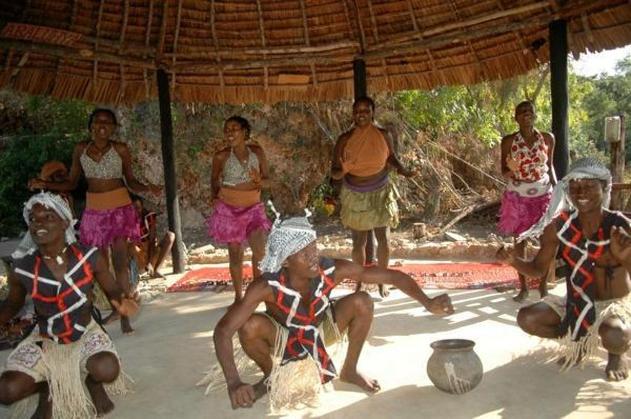 Ngomongo cultural dance exursion
