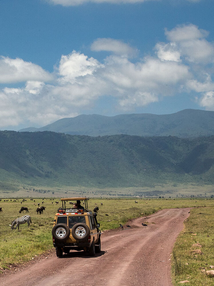 Wildlife safari at Ngorongoro National Park