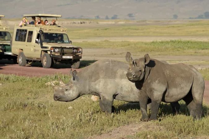View of Ngorongoro Rhinos - Tanzania safaris photo