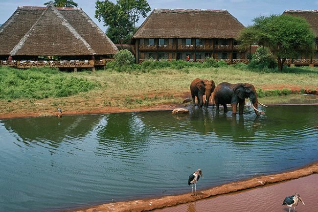 Wildlife viewing from Ngutuni Safari Lodge balcony