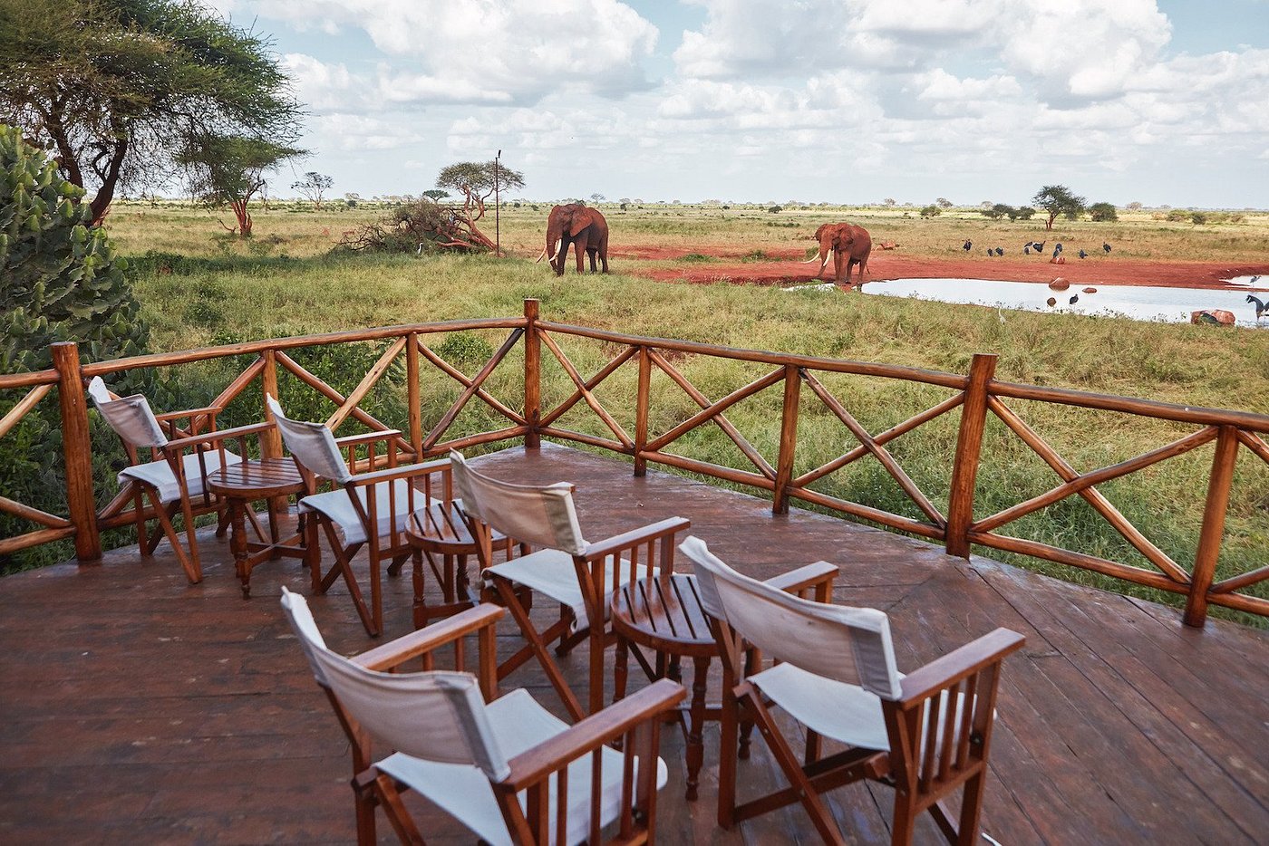 View of elephants at Ngutuni Safari Lodge — Tsavo East region