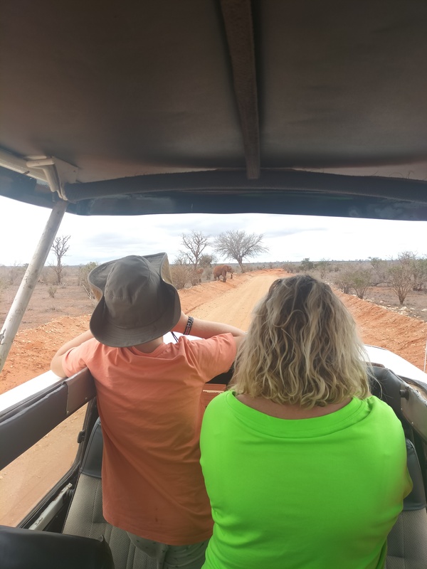 Family safari to Tsavo East photo