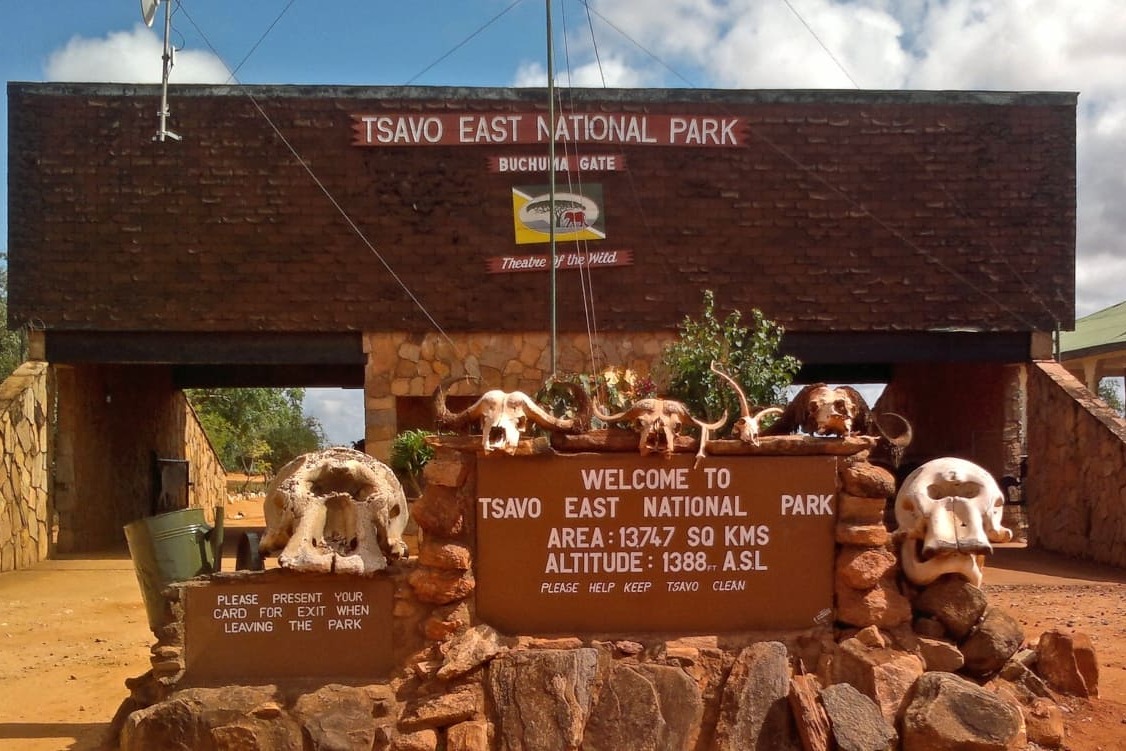 Tsavo East game drive adventures