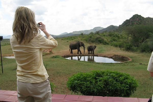 Safari guest photographing African elephants in Tsavo West National Park, Kenya