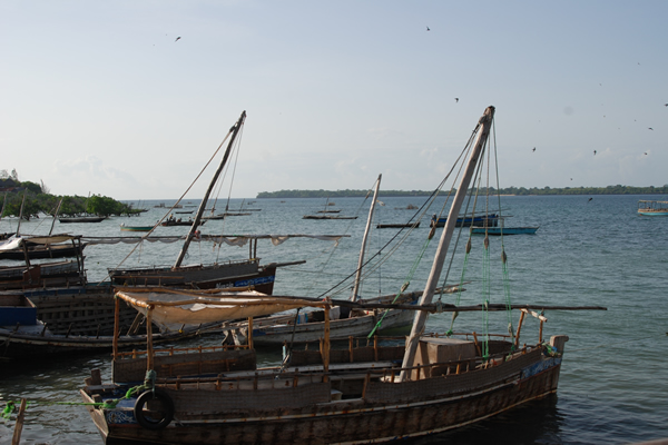 Wasini Island boat for crossing and dhow safaris