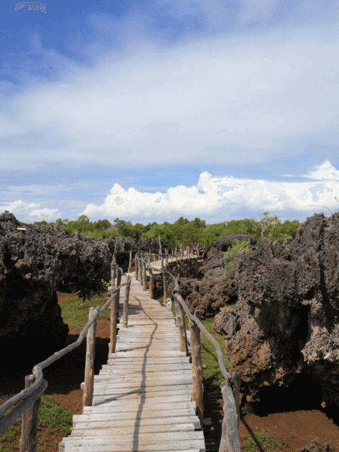 Wasini Island boardwalk at fossil coral garden