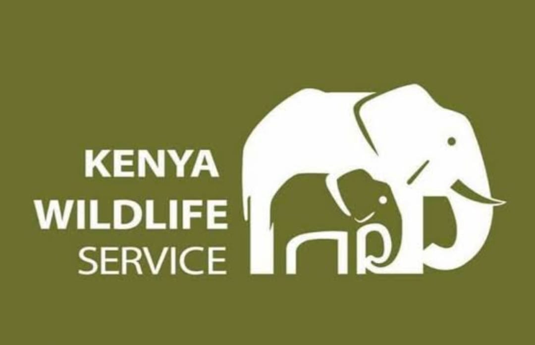Kenya Wildlife Service Logo